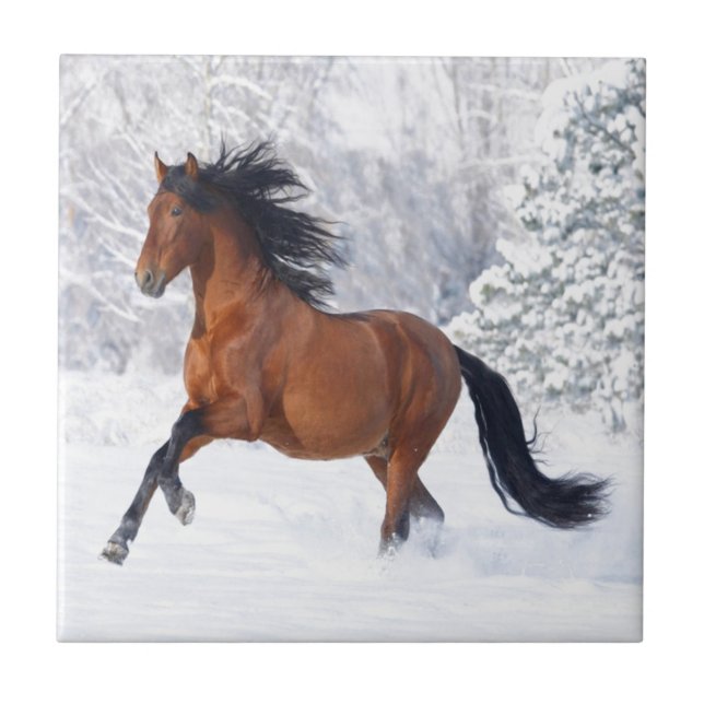 Horse Play In The Snow Tile (Front)