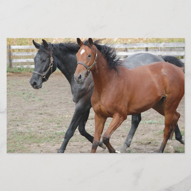 Horse Play Stationery (Front)