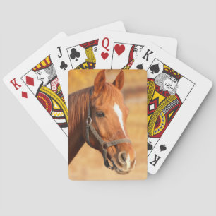 Horse Playing Cards