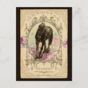 Horse Poeme - Postcard