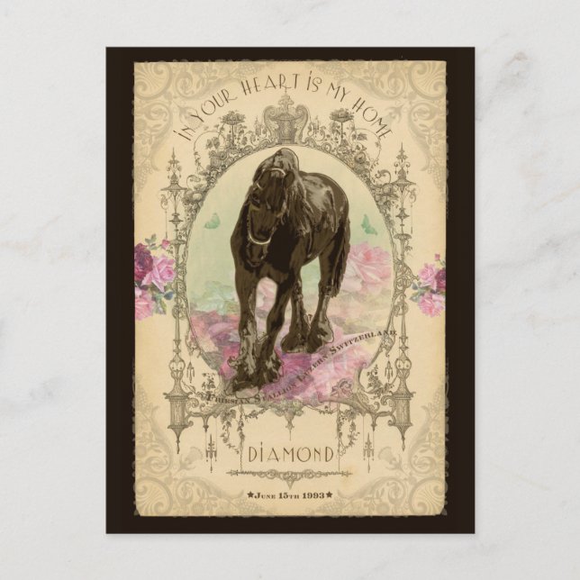 Horse Poeme - Postcard (Front)