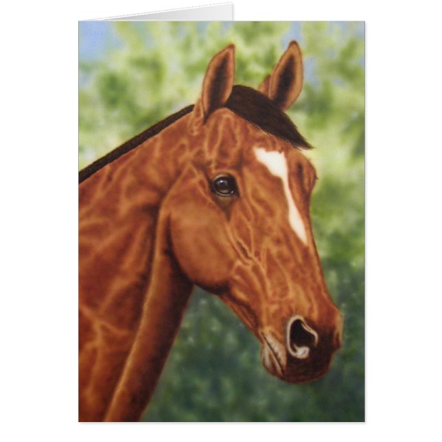 Horse Portrait (Front)