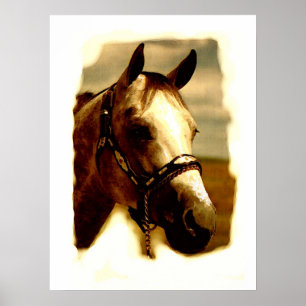 Horse Portrait Artwork Poster