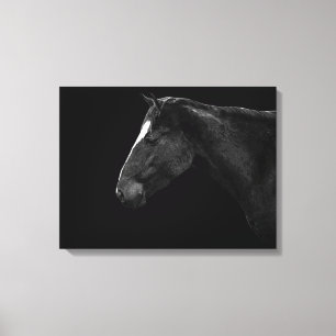 Horse portrait canvas print