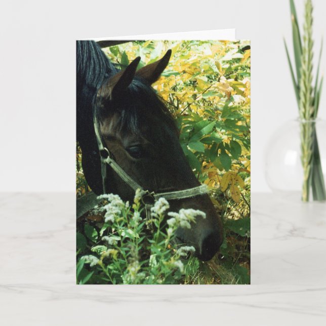 Horse Portrait Card (Front)