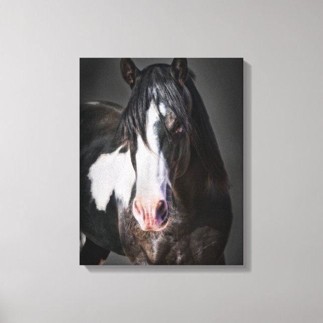 Horse Portrait II Canvas Print (Front)