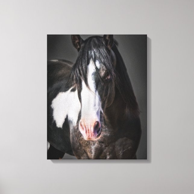 Horse Portrait II Canvas Print (Front)
