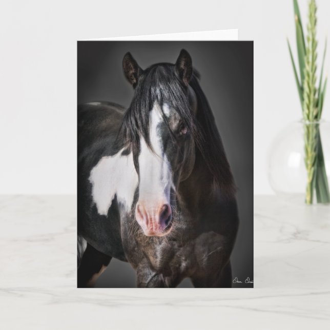 Horse Portrait II Card (Front)