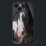 Horse Portrait II iPhone 13 Case<br><div class="desc">Animals</div>