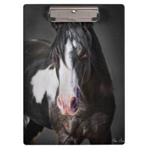 Horse Portrait II Clipboard