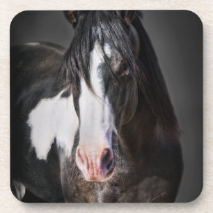 Horse Portrait II Coaster