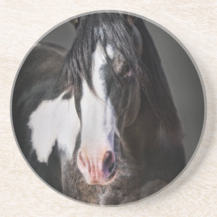 Horse Portrait II Coaster
