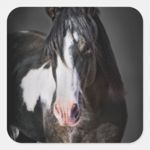 Horse Portrait II Square Sticker