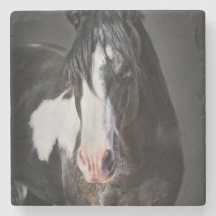 Horse Portrait II Stone Coaster