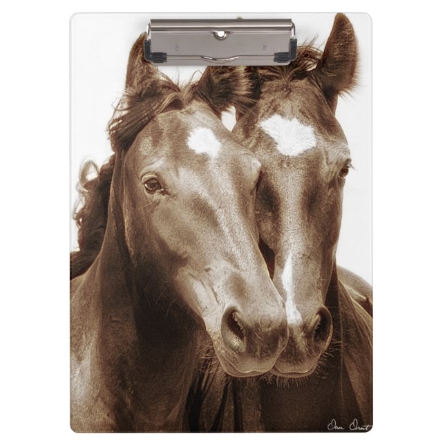 Horse Portrait III Clipboard (Front)