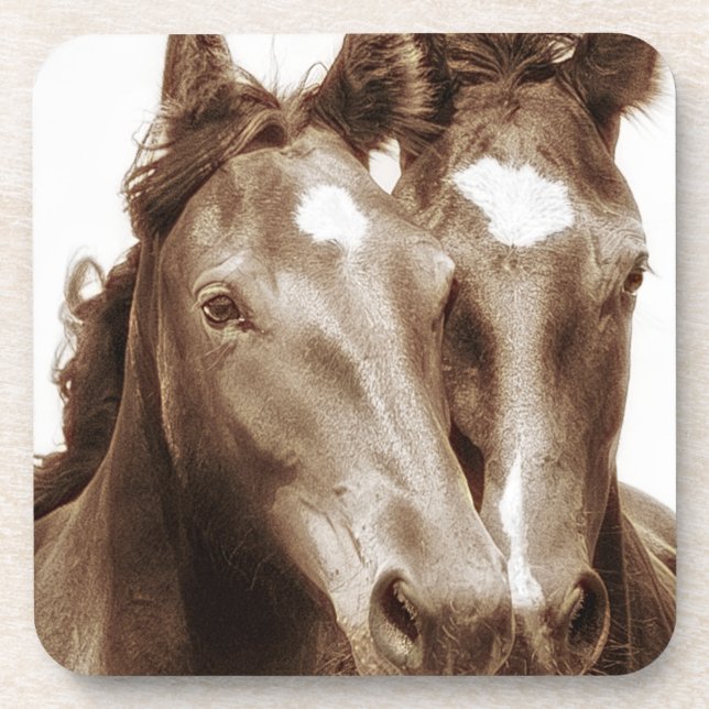 Horse Portrait III Coaster (Front)