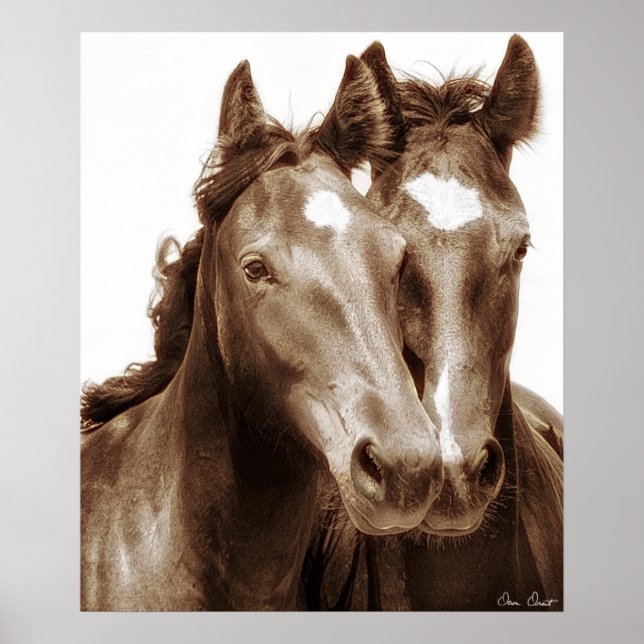 Horse Portrait III Poster (Front)
