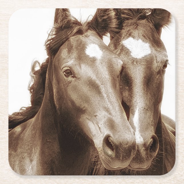 Horse Portrait III Square Paper Coaster (Front)