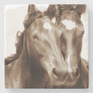 Horse Portrait III Stone Coaster