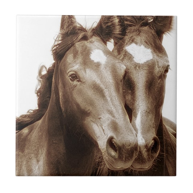 Horse Portrait III Tile (Front)