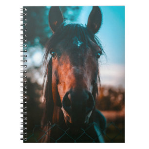 HORSE PORTRAIT NOTEBOOK