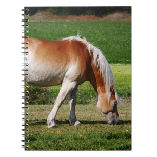 Horse portrait notebook