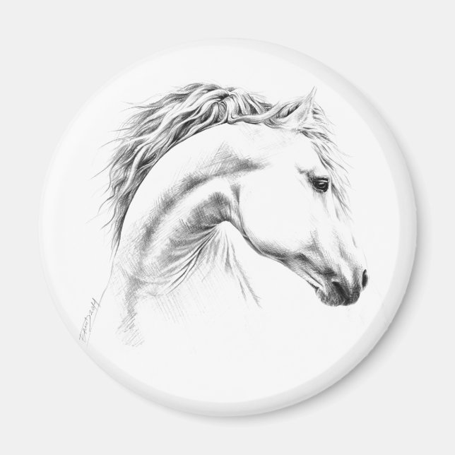 Horse portrait Pencil drawing Equestrian art Magnet (Front)