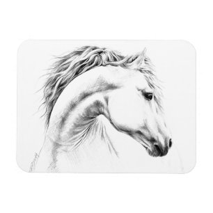 Horse portrait pencil drawing Equestrian art Magnet