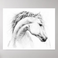 Horse portrait Pencil drawing Equestrian art