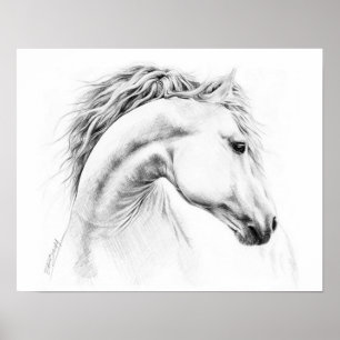 Horse portrait Pencil drawing Equestrian art Poster