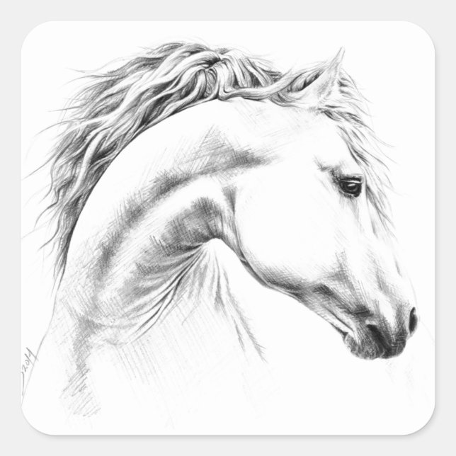 Horse portrait pencil drawing Equestrian art Square Sticker (Front)