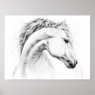 Horse portrait pencil drawing poster