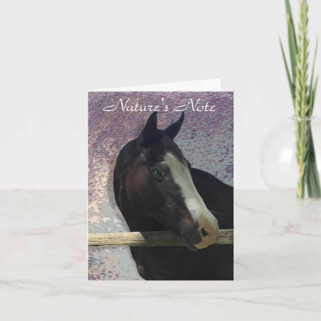 HORSE PORTRAIT PHOTO ANIMAL NOTE CARD (Front)