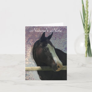 HORSE PORTRAIT PHOTO ANIMAL NOTE CARD
