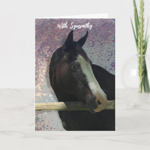 HORSE PORTRAIT PHOTO ANIMAL SYMPATHY CARD