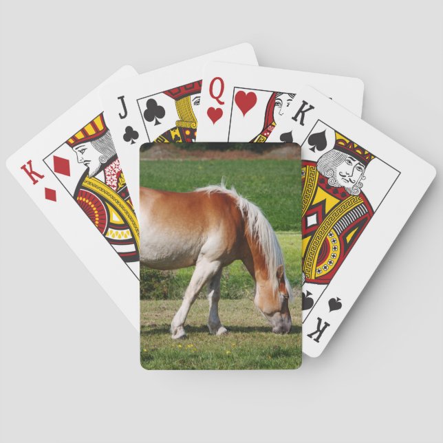 Horse portrait playing cards (Back)
