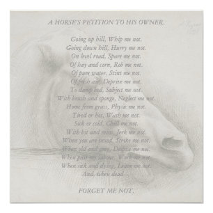 Horse Portrait Poem Petition to Owner Vintage Poster