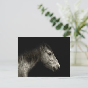 Horse portrait postcard