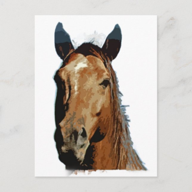 Horse Portrait Postcard (Front)