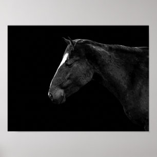 Horse portrait poster