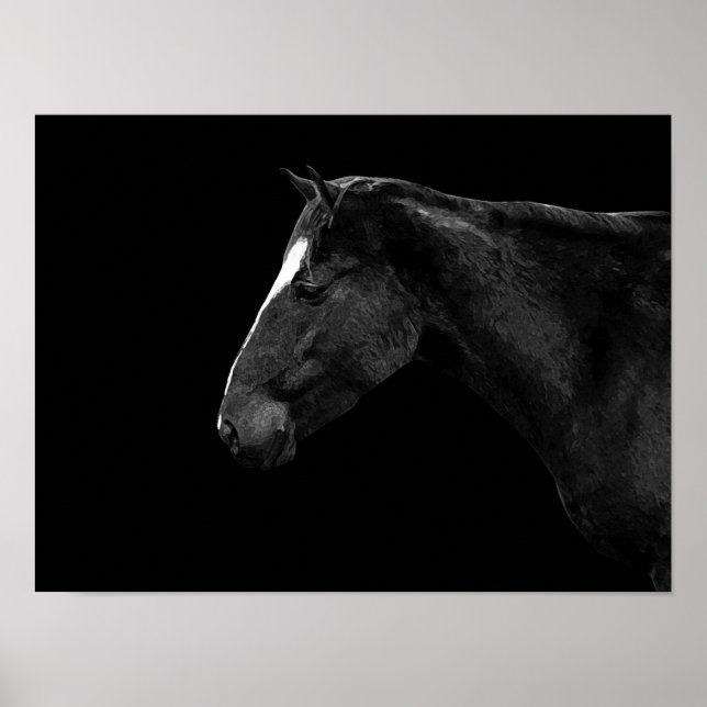 Horse portrait poster (Front)