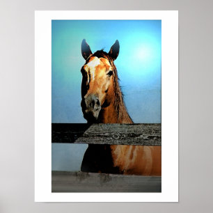 Horse Portrait Poster