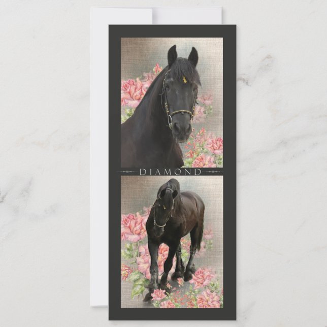 Horse Portrait ~ Rackcard / Postcard (Front)