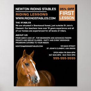 Horse Portrait, Riding Instructor, Academy Poster
