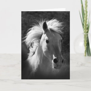 Horse Portrait V Card