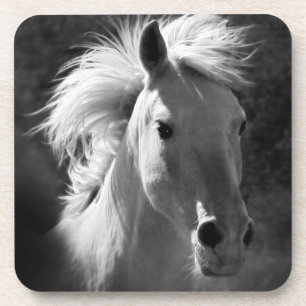 Horse Portrait V Coaster