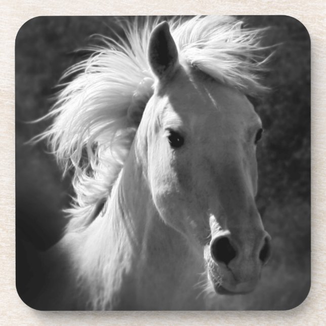 Horse Portrait V Coaster (Front)