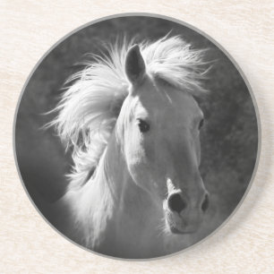 Horse Portrait V Coaster