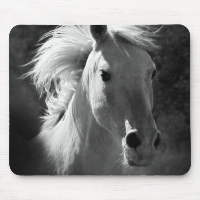 Horse Portrait V Mouse Mat (Front)