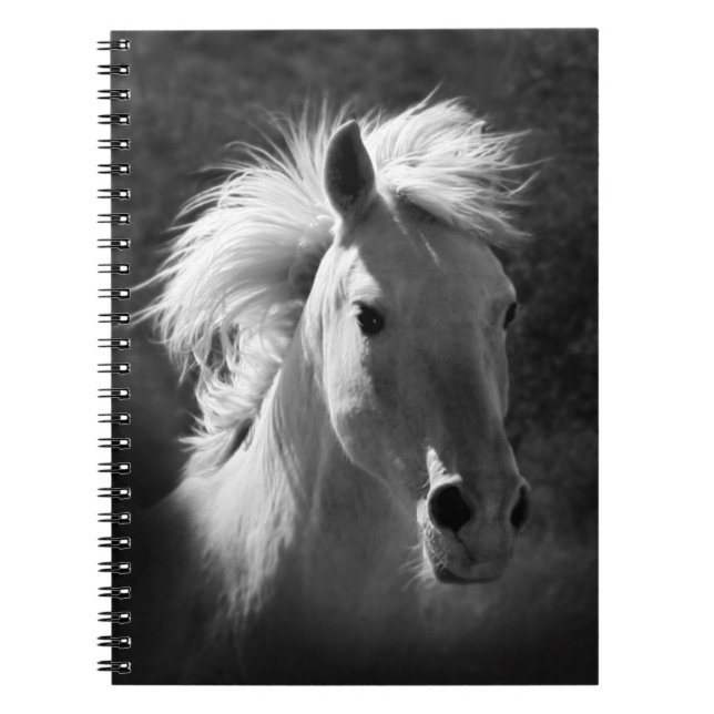 Horse Portrait V Notebook (Front)